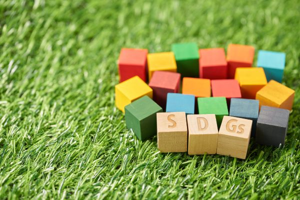 フィールドにSDGSと書かれたブロックと17色のブロック