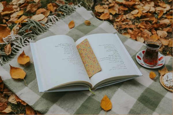 手帳、メモ、読書、読書の秋、落ち葉、公園で休憩