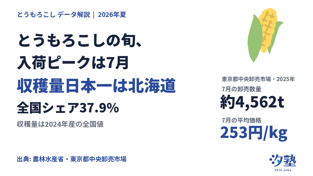 とうもろこしの旬と東京市場の2025年データを示す表紙型カード。入荷ピークは7月、7月の卸売数量は約4,562t、平均価格は253円/kg、2024年産収穫量の全国シェア37.9%で北海道が日本一