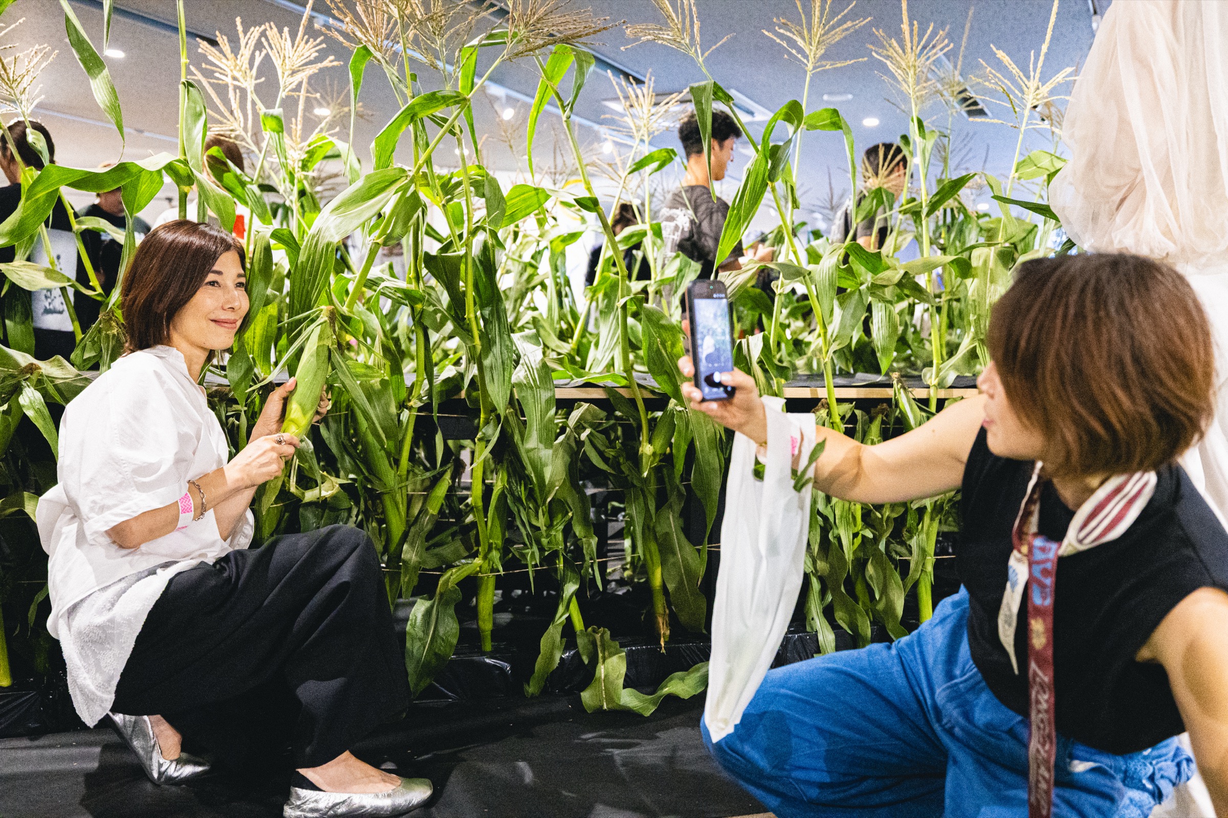 室内の畑で、女性がもぎ取ったとうもろこしを手にしている。別の参加者がスマートフォンで撮影している。