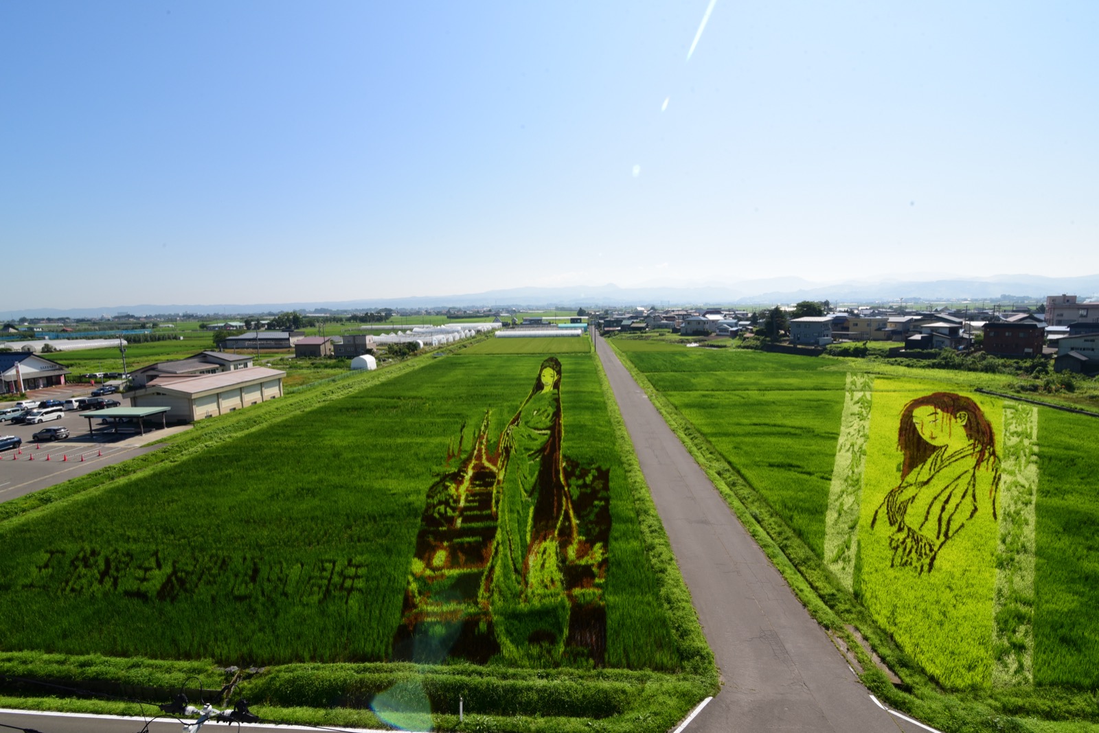 田んぼに描かれた幽霊画の田んぼアート