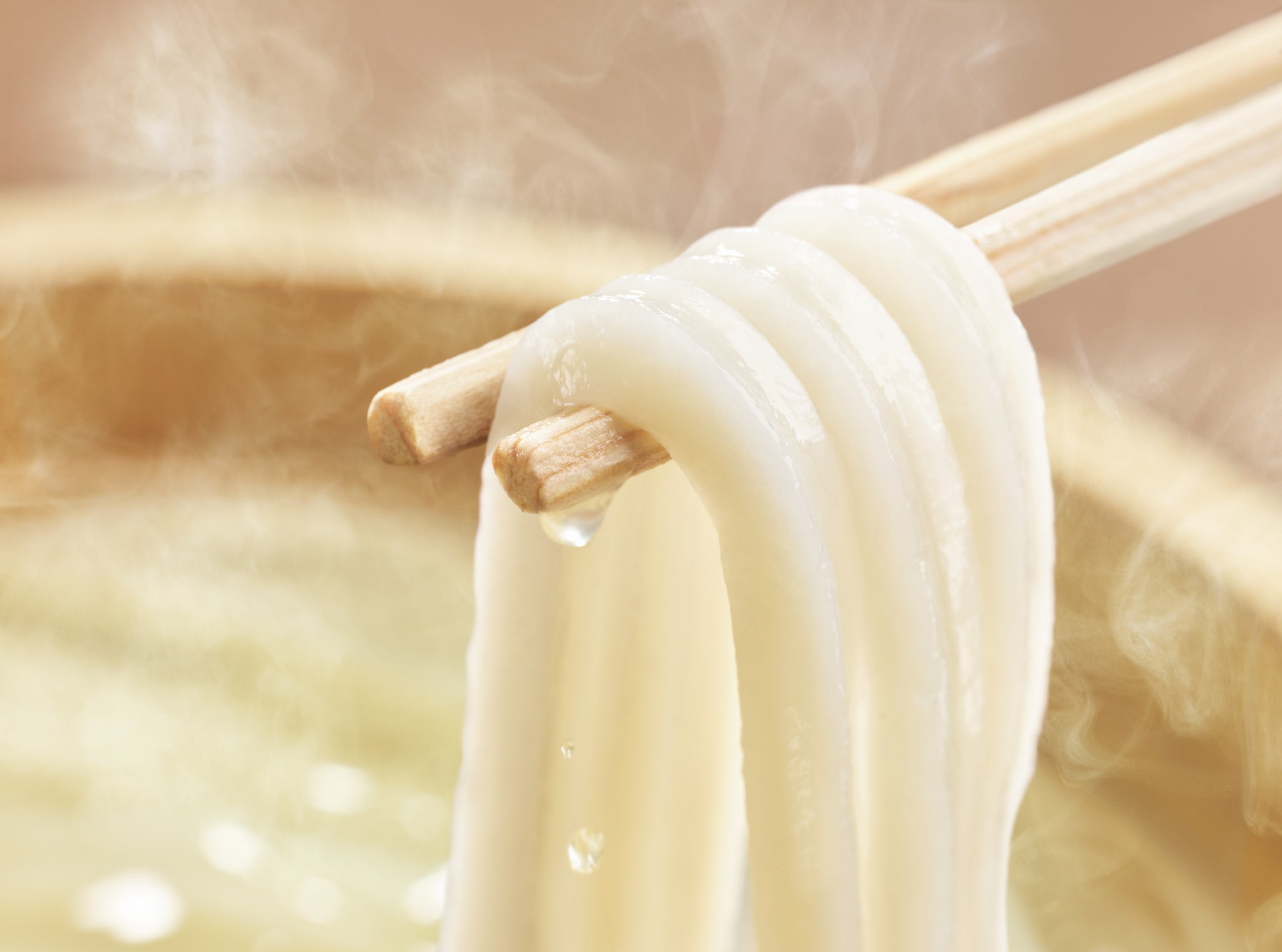 湯気の立つ釜揚げうどんを箸で持ち上げた様子