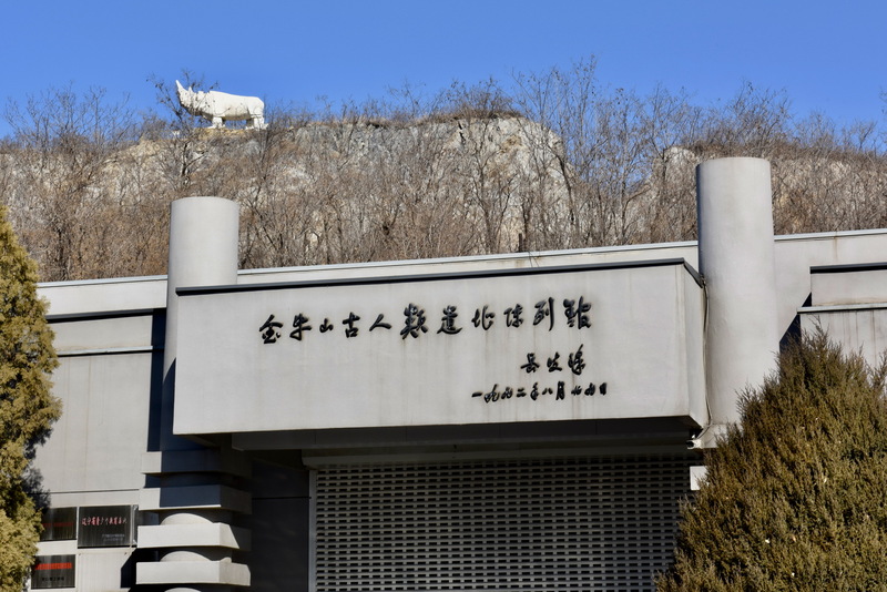 営口金牛山遺跡:人類進化の重要な空白を埋める26万年前の遺産 | Publicity Department of the CPC ...