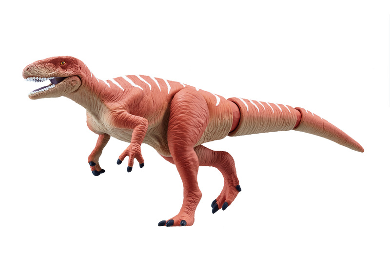 アニア フクイサウルス フクイラプトル 福井県立恐竜博物館オリジナルモデル 年7月14日発売 タカラトミーのプレスリリース 共同通信prワイヤー