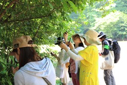 「東京の野草」でコスメ作り！美肌のための自然観察会開催
