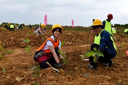 中国広東省雲浮市硫鉄鉱の採取跡地にて　森林破壊を救うプロジェクト「植樹祭」を実施