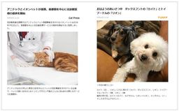 gooニュースに猫専門のWEBメディア「Cat Press」と犬・猫などのペットの情報サイト「sippo」が登場！