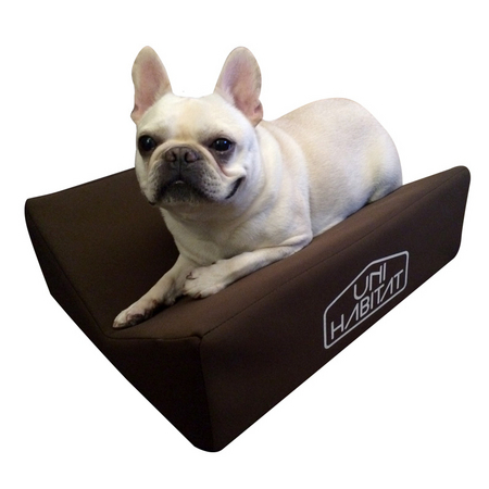 太ももフェチなわんこ大喜び 飼い主の太ももに挟まったような感覚を得られるペットベッド発売 ビーズ株式会社のプレスリリース 共同通信prワイヤー