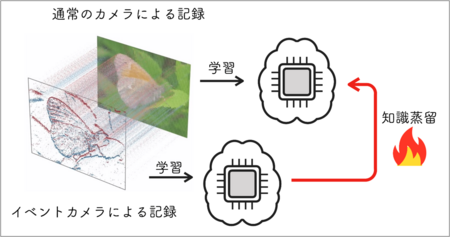 【立教大学】Eventカメラからの知識蒸留で、
