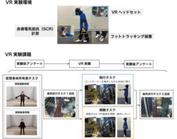 VRで自ら飛ぶ体験をした人は、「落下しても飛べる」と予測し高所恐怖が低減される