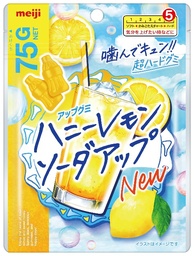 【新品未使用】りぼんみらいフェスタ2023 ハニーレモンソーダ セット りぼん 2023年9月号 【表紙】 ハニーレモンソーダ 【付録】 まんが家