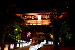 千葉商科大学 - 巨大行灯もミニ行灯も。計450個の行灯がお寺・商店街・駅を照らす「真間あんどん祭り」開催