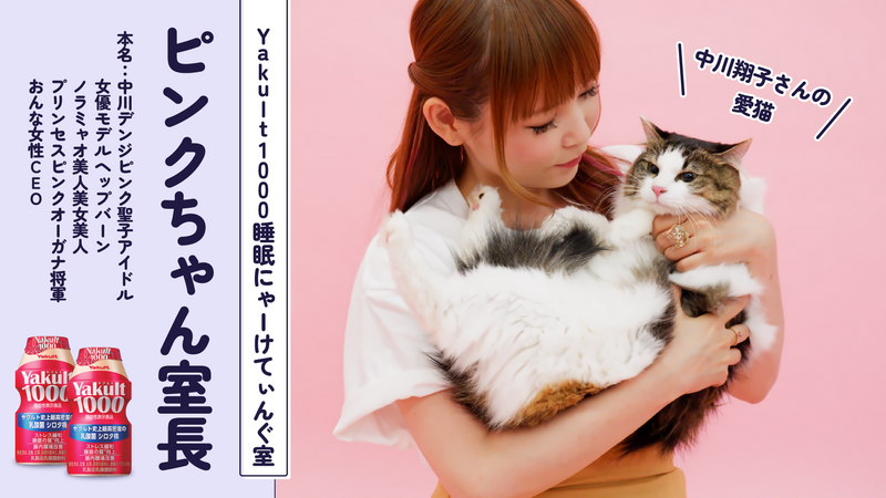 キティ サンリオ しょこたん ぬいぐるみ 貪欲 ピンク 中川翔子