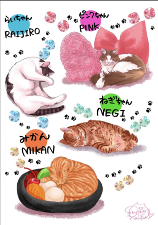 2/22「猫の日」限定で中川翔子さんの愛猫ピンクちゃんが