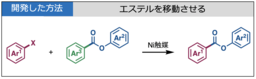 エステルからエステルをつくる?！COガスを用いないエステル合成法
