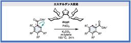 ベンゼン環のエステルを触媒の力で異性化する