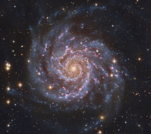 初期宇宙に存在した赤い渦巻銀河を発見 | 早稲田大学のプレスリリース