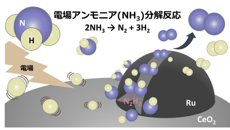 新規でクリーンなアンモニア分解による水素製造手法を発見 | 早稲田