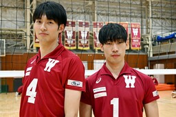 早稲田大学バレーボール部男子ユニフォームスポンサー「豊田合成」「プログデンス」「セキュア」に決定