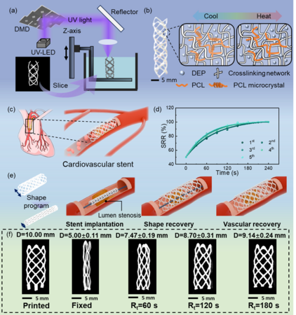 体温で自動的に展開する血管ステントを開発