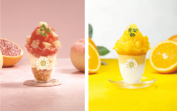 初夏の彩り！KURA ROYAL『桃とグレープフルーツのレアチーズケーキパフェ・オレンジブラマンジェパフェ』