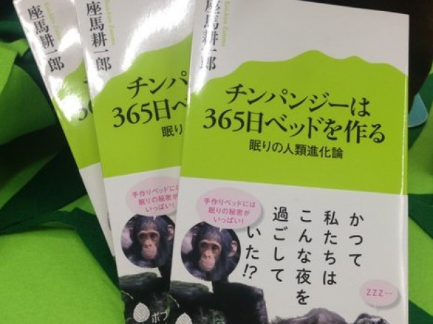 チンパンジーのベッドをヒントに開発した 人類進化ベッド 東京 名古屋でお披露目 イワタのプレスリリース 共同通信prワイヤー