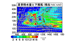 夏季アジアモンスーン降水の将来変化: 台風・熱帯擾乱活動の重要性