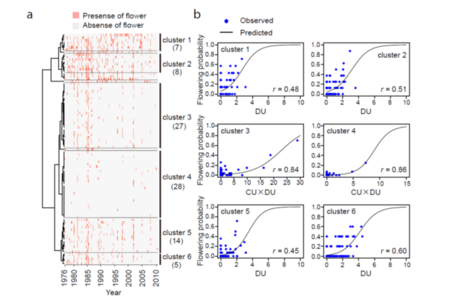 気候変動は東南アジアの熱帯雨林樹木の開花 結実頻度を減少させる 東京都公立大学法人のプレスリリース 共同通信prワイヤー