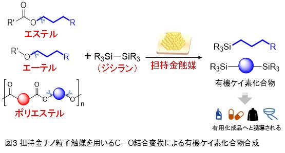 炭素資源循環を革新する新しい触媒反応技術を開発 | 東京都公立大学