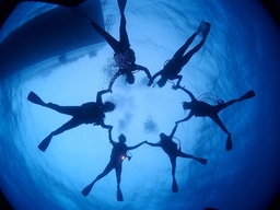 知っているようで、意外と知らない水中の世界に誘う！企画展「潜水－水中の科学・技術・仕事－」