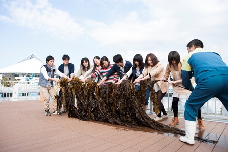 横浜 八景島シーパラダイス 自然の海の水族館 うみファーム 開業２周年 海育まつり 横浜八景島のプレスリリース 共同通信prワイヤー