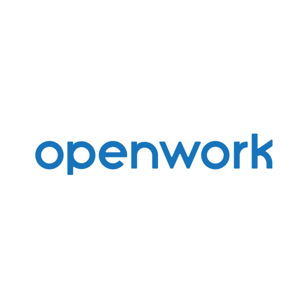 Openwork Openwork Definition