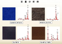 カシミア等獣毛類鑑別法がISO規格として発行。カシミアの混合率を正確に分析、消費者の安心につながる