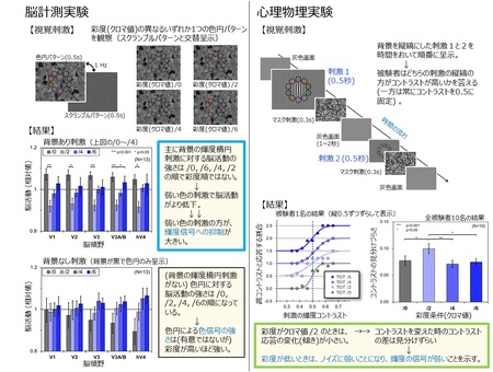 淡い色により知覚されるコントラストが減少するメカニズムを解明 色あせた写真は何故ぼやけて見えるのか 福島民友新聞社 みんゆうnet