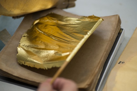 生命・応用バイオ学科