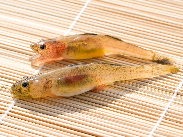 琵琶湖の個性的な魚介類8種の利活用を促進～「琵琶湖八珍(びわこはっち