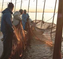 冬の風物詩 琵琶湖のアユ漁が本日解禁