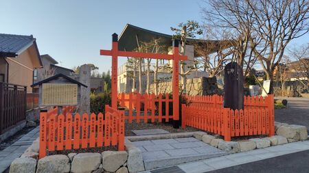 日本茶発祥の地・滋賀 「近江の茶」を愉しむ春が到来