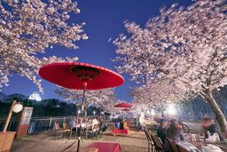 「大阪城  和ーべきゅう」期間限定OPEN～もっとキレイに、もっと手軽に、もっと華やかに～