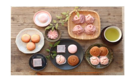 千葉開府900年をテーマに、桜商品の販促活動に学生が参画