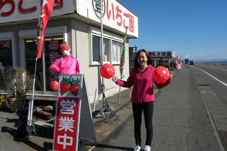 いちご海岸通りのいちご狩りシーズン到来 静岡市のプレスリリース 共同通信prワイヤー