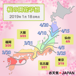 AI（人工知能）が2019年の桜の開花・満開を予想 -西～東日本で平年よりも早めの開花と予想-