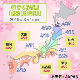 AIによる桜の開花・満開予想モデルを大幅に改良~気象予報士による開花予想との精度を比較~