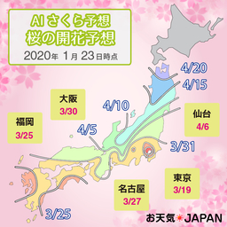 AI（人工知能）が2020年の桜の開花・満開を予想-開花一番乗りは3/19に東京で開花と予想-