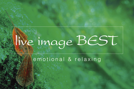 「ライブイマージュ・コンサート」に、