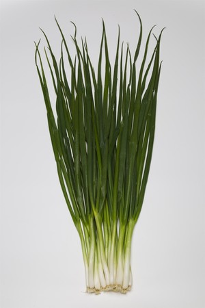 今が旬の ネギ 食べて風邪を吹き飛ばそう 愛され万能野菜の３つの 実は なお話 タキイ種苗のプレスリリース 共同通信prワイヤー