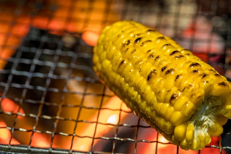 甘くておいしい夏野菜 とうもろこしの豆知識 ３選 タキイ種苗のプレスリリース 共同通信prワイヤー