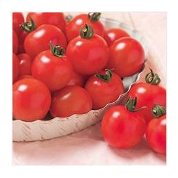 大人の8割、子どもの7割が「トマト好き」！ ～健康・美容づくりに「トマト」の意識高まる～