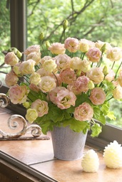 薔薇のようで高貴な花型が特長の『ミンク』シリーズ　新色４品種を発売