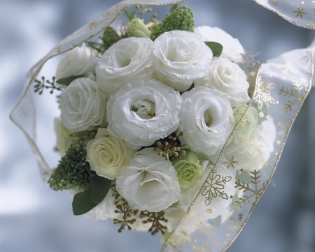 薔薇のようで高貴な花型が特長の ミンク シリーズ 新色４品種を発売 タキイ種苗のプレスリリース 共同通信prワイヤー